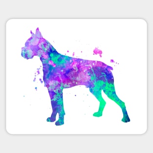 Boxer Dog Watercolor Painting (cropped ears) Sticker